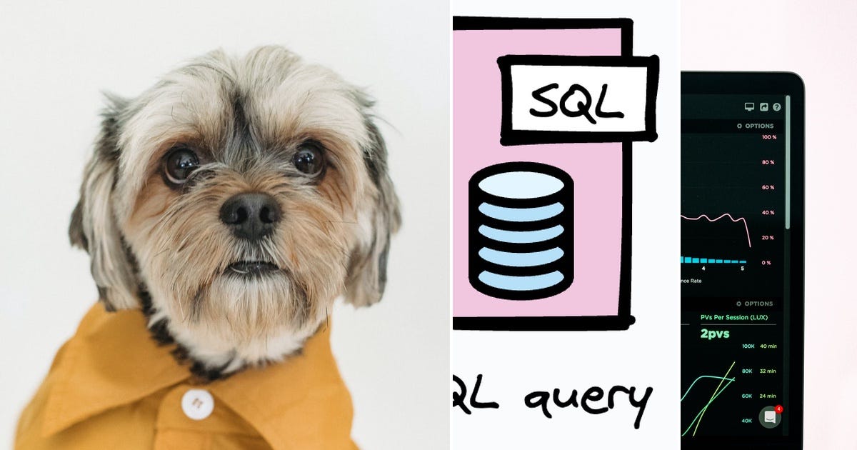 List: SQL | Curated by Isaac | Medium