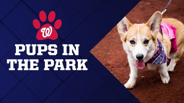 Nationals Park goes to the dogs with the return of Pups in the Park - Blog