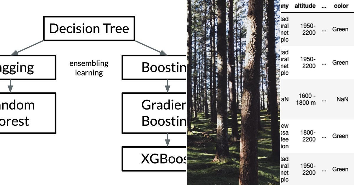 List: Random forest | Curated by Casrosman | Medium
