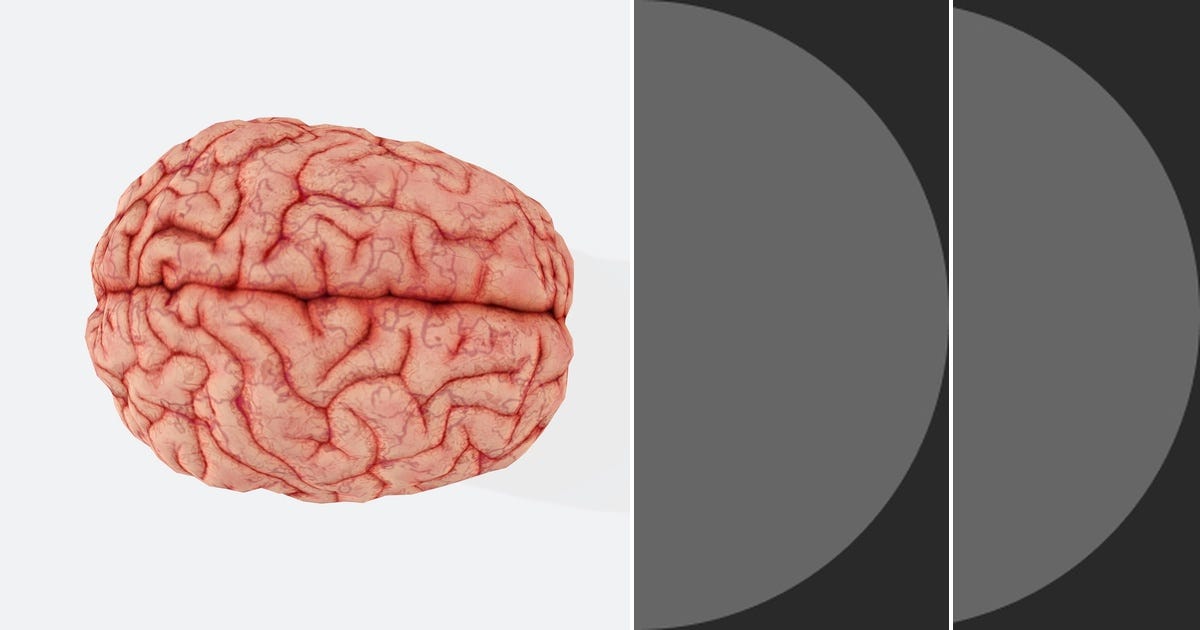 List: Brain | Curated by Yan Lucas Gabor Sampaio | Medium
