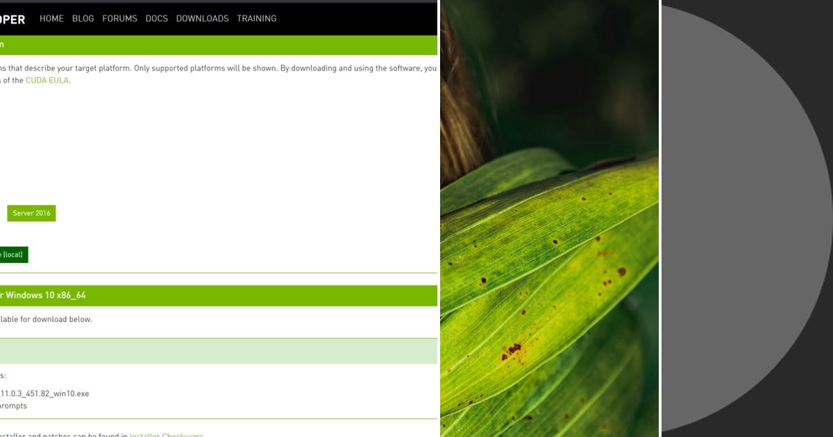 List GAN Curated by Scott Galindo Medium