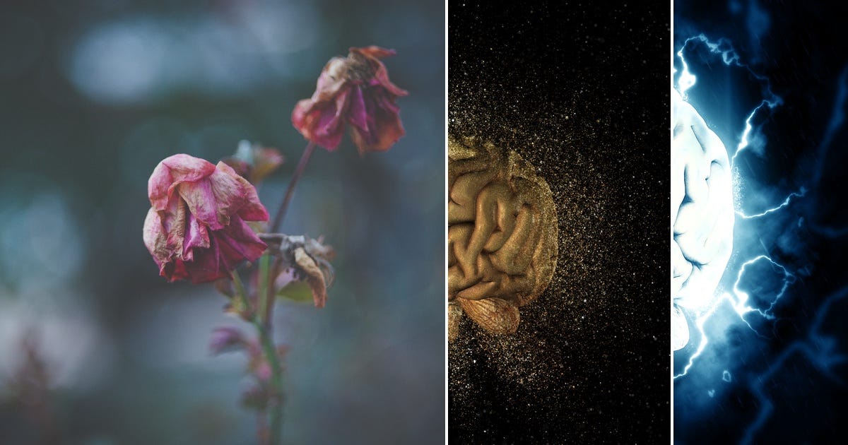 List: Brain | Curated by Michelangelo Molinari | Medium