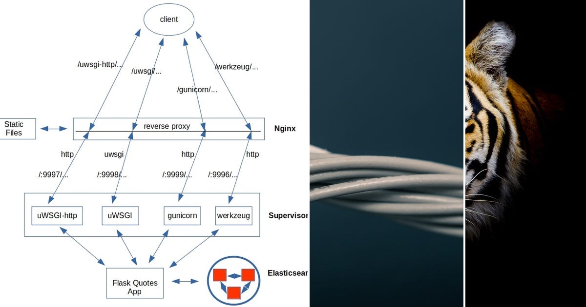List: REST API | Curated by C.Chee | Medium