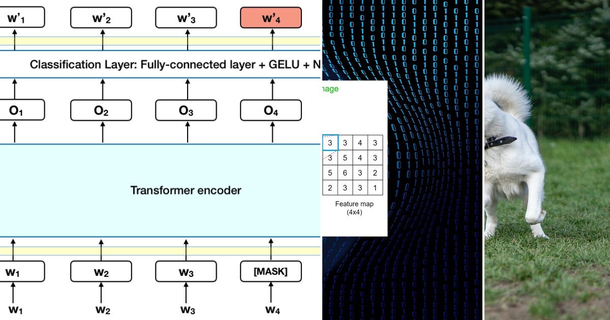 List: Deep Learning Basics | Curated by khushi RJ | Medium
