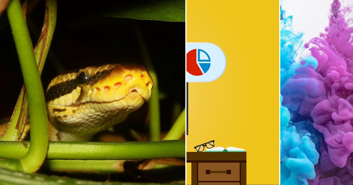 List: python | Curated by Felix Ulber | Medium image.