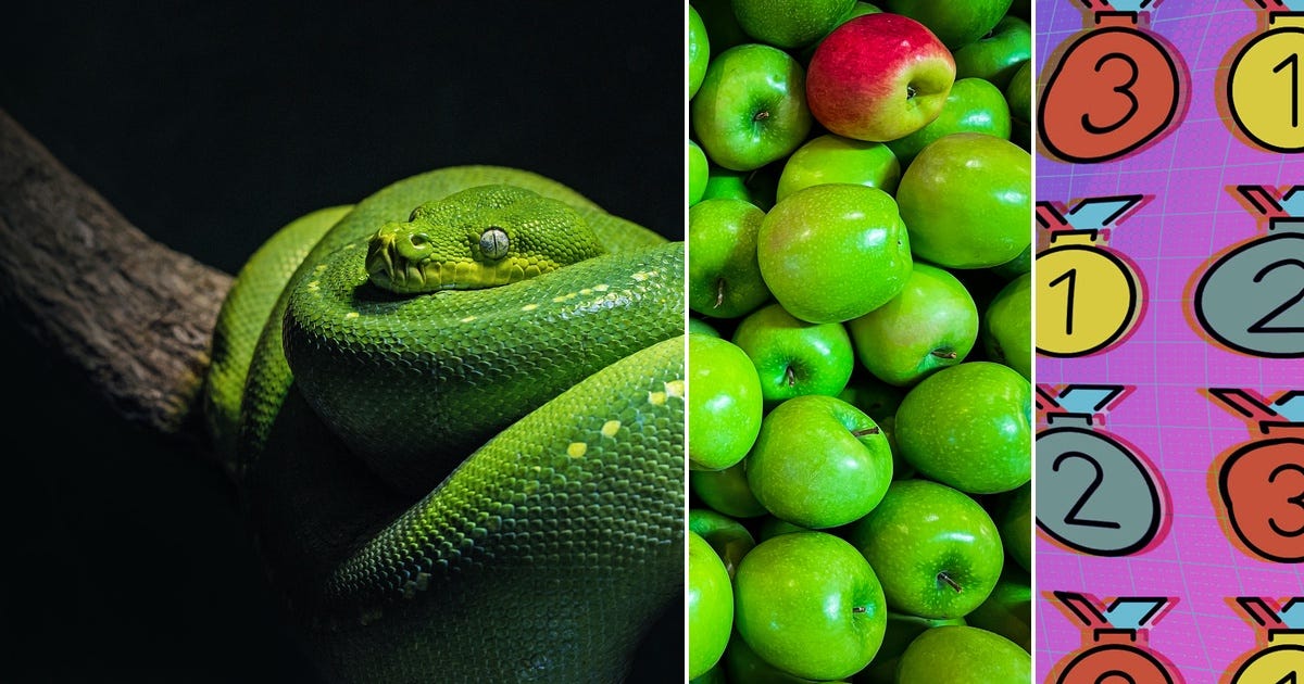 List: Python | Curated by Richard Railton | Medium