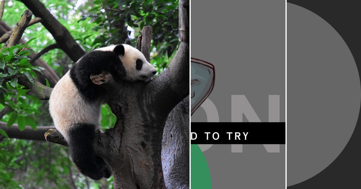 List Python Curated By Deepika Navani Medium