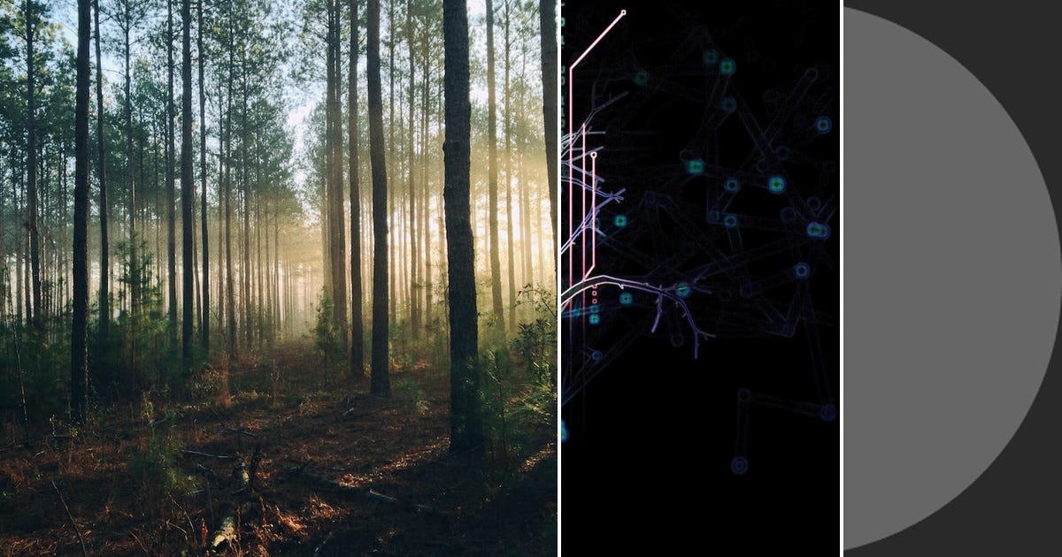 List: Random forest | Curated by yuwen pang | Medium