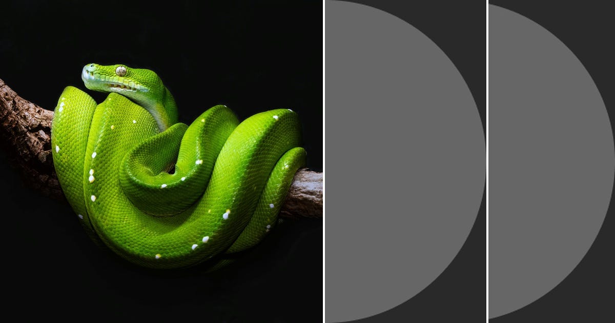 List: Python | Curated by Hariharasudan P | Medium