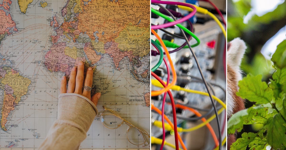 List: Python | Curated by Shmlzr | Medium