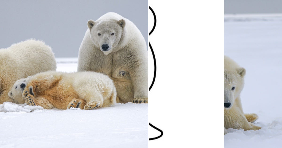 List: Polar | Curated by Abhishek Agarwal | Medium