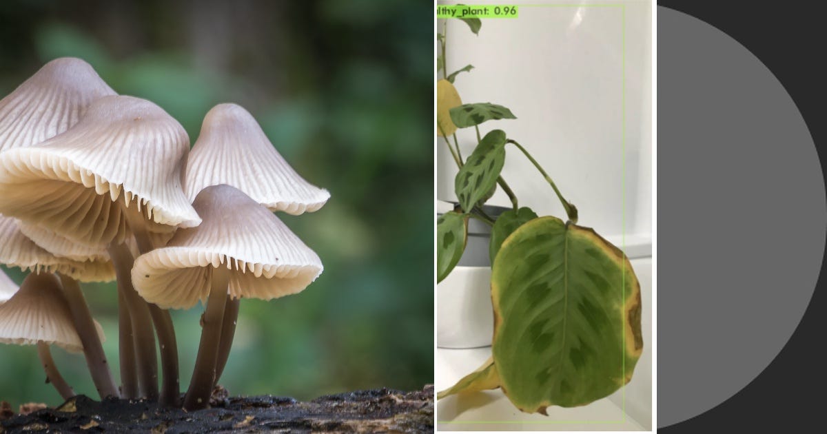 List arcadia use case Curated by liz Medium