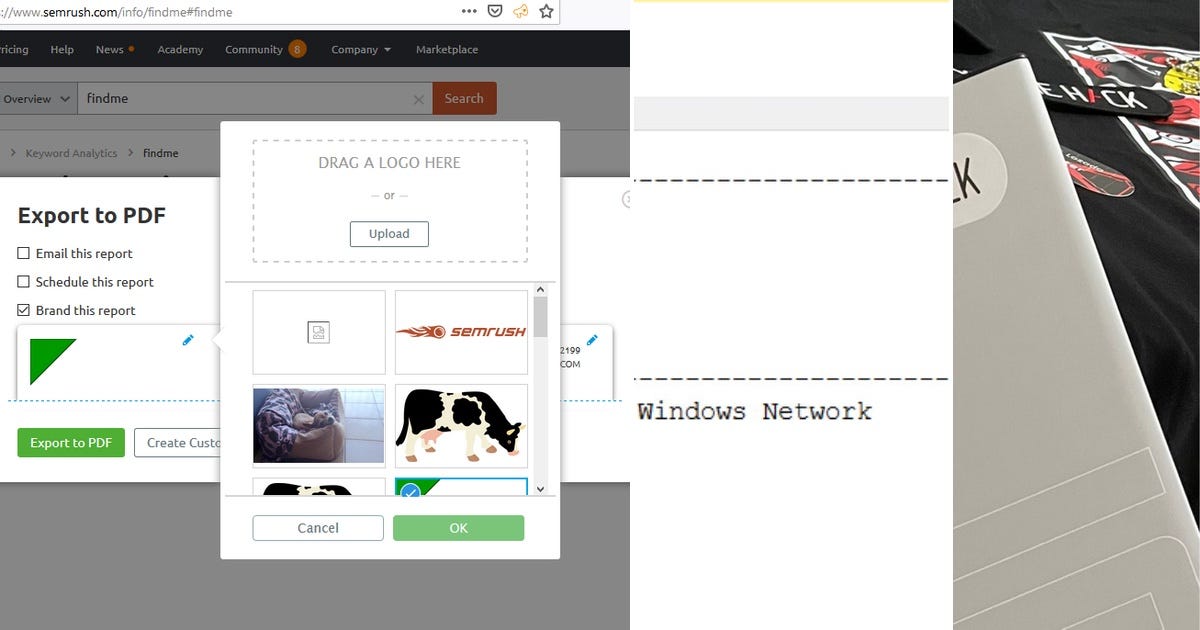 BOUNTY GOLD STABLECOIN 200 000 visual data 4