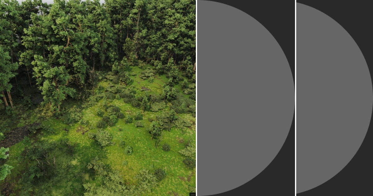 List: Procedural Art | Curated by Procedural Art' | Medium