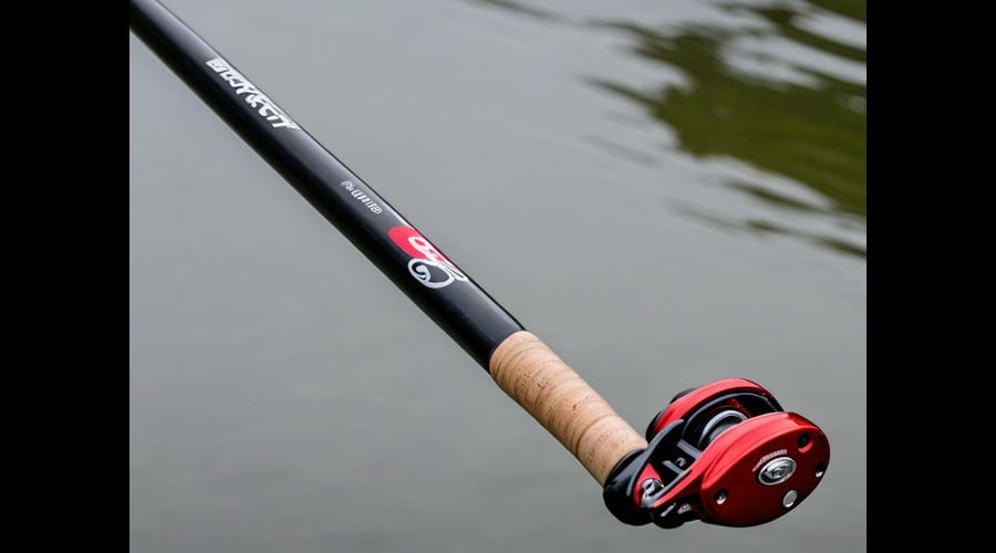 Vengeance® Casting Rod – Fisherman's Factory Outlet