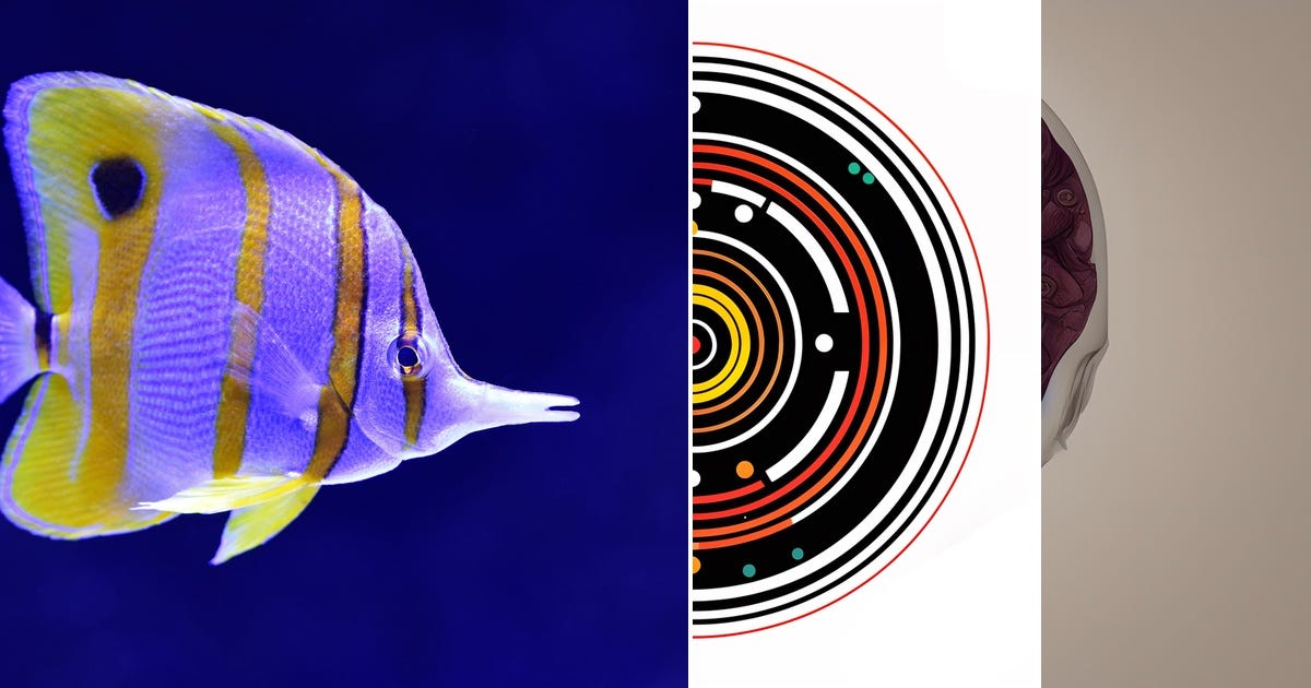 DOUBLE MACHINE LEARNING INTRODUCTION visual data 8