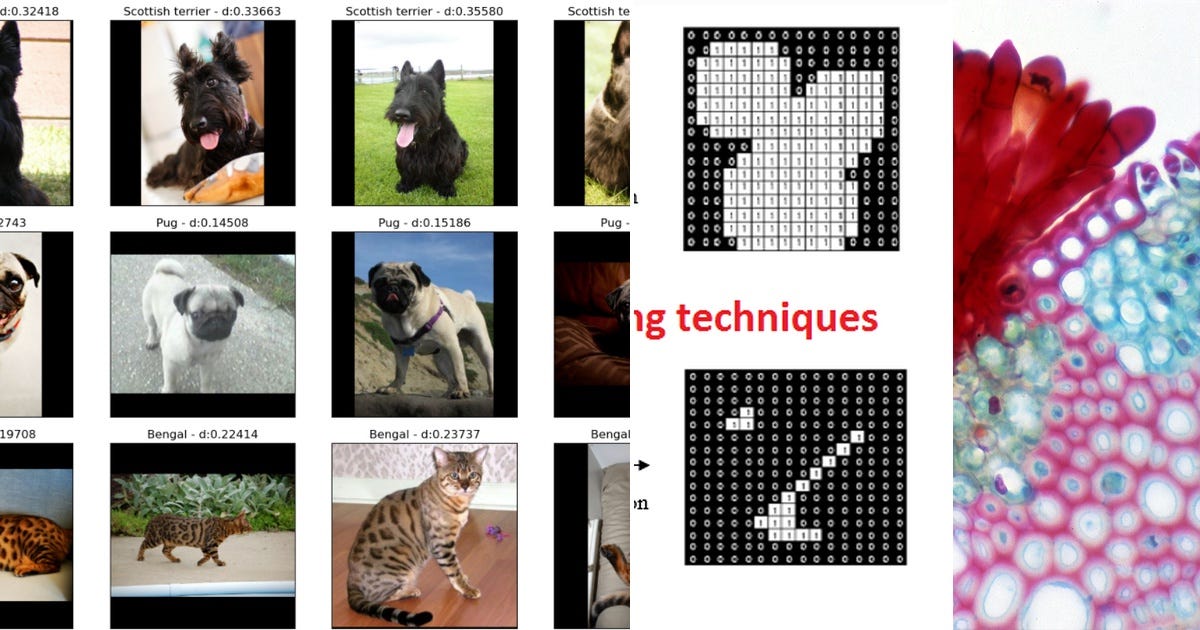 List: Computer Vision | Curated by Mohana Vamsi | Medium