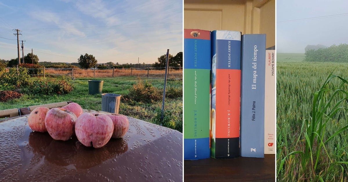 List: Book Reviews | Curated by Esme Harlow | Medium