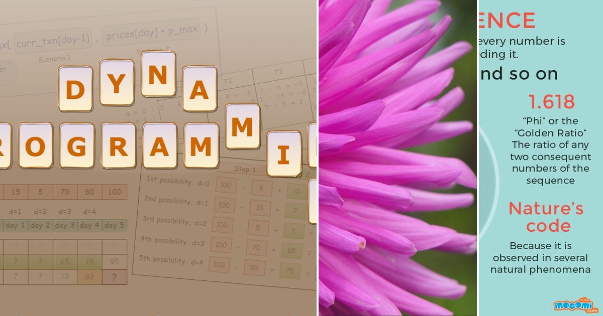 List: Dynamic Programming | Curated by Akin | Medium