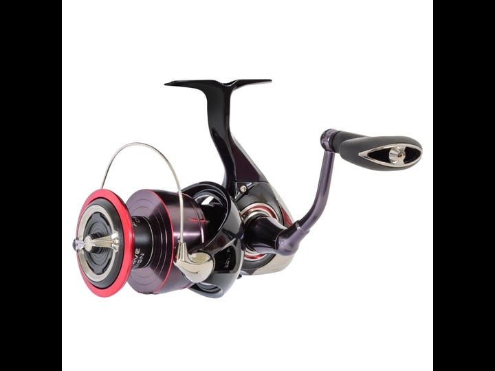 Daiwa Spinning Reels, by Sharon Ngo, Mar, 2024