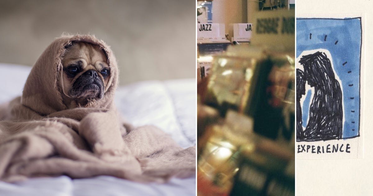 List: Reading Examples | Curated by Haley Horvat | Medium