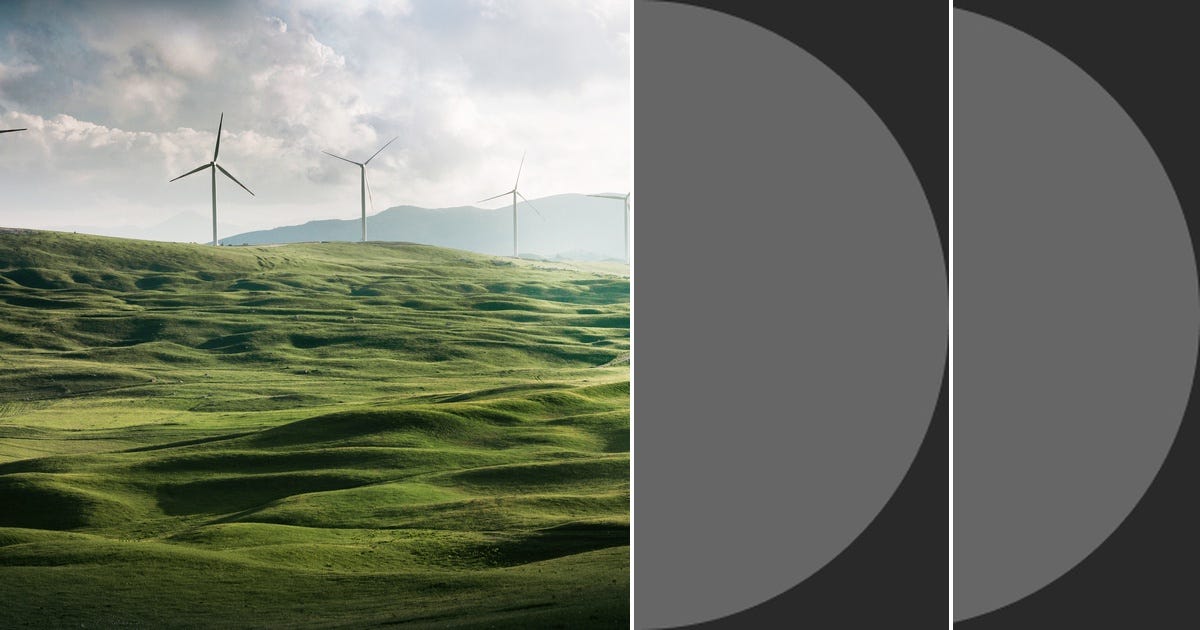 List: Sustainability | Curated by Lisa Cunningham DeLauney | Medium