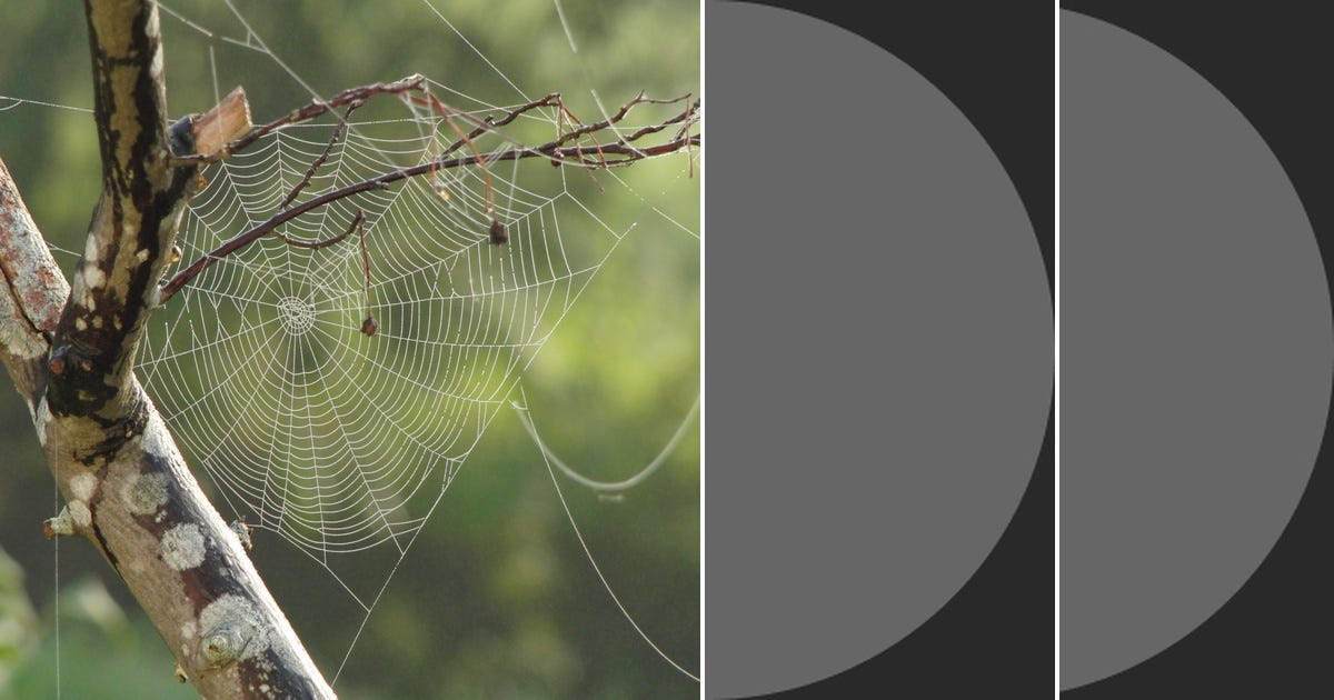 List web scraping curated by rc medium