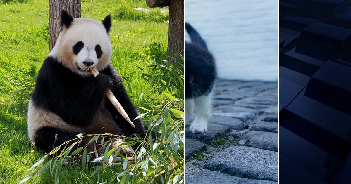 List: Python Pandas - What Why How | Curated by Arsalan Zafar | Medium