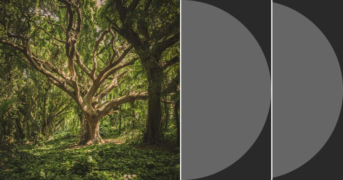 List random forest curated by hugo soto medium