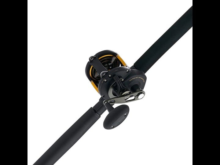 PENN Squall II Lever Drag Fishing Rod & Reel Combo