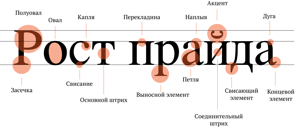 Каждый элемент буквы. Элементы букв типографика. Анатомия буквы в типографике. Строение буквы в шрифте. Составные части букв.