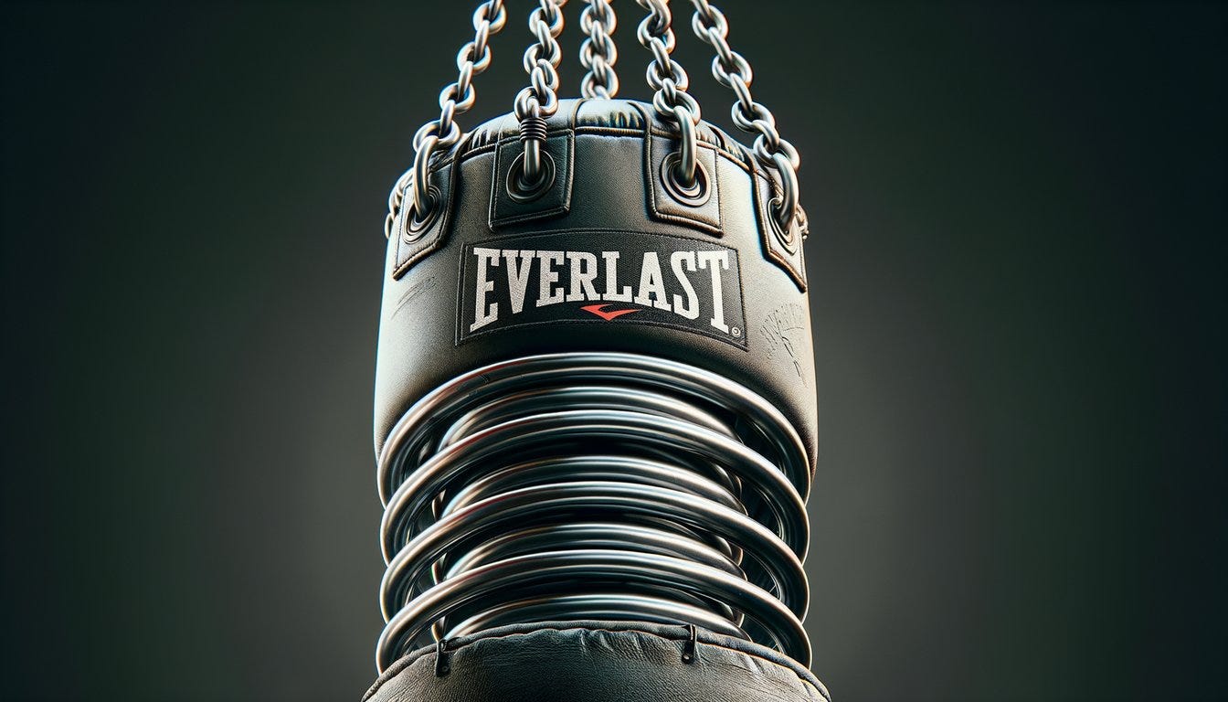 Everlast Core Reflex Boxing Bag