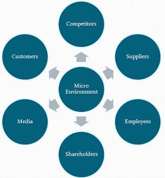 What factors can influence the marketing strategy success?, by Chanel  Bevis