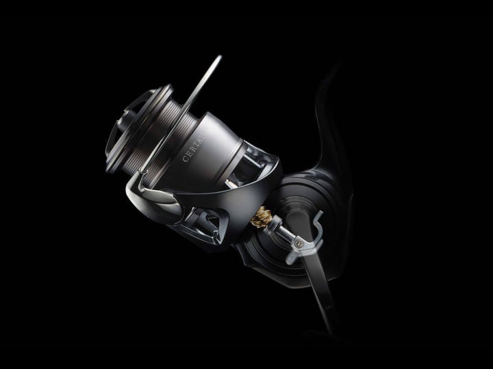 Daiwa Spinning Reels, by Sharon Ngo, Mar, 2024