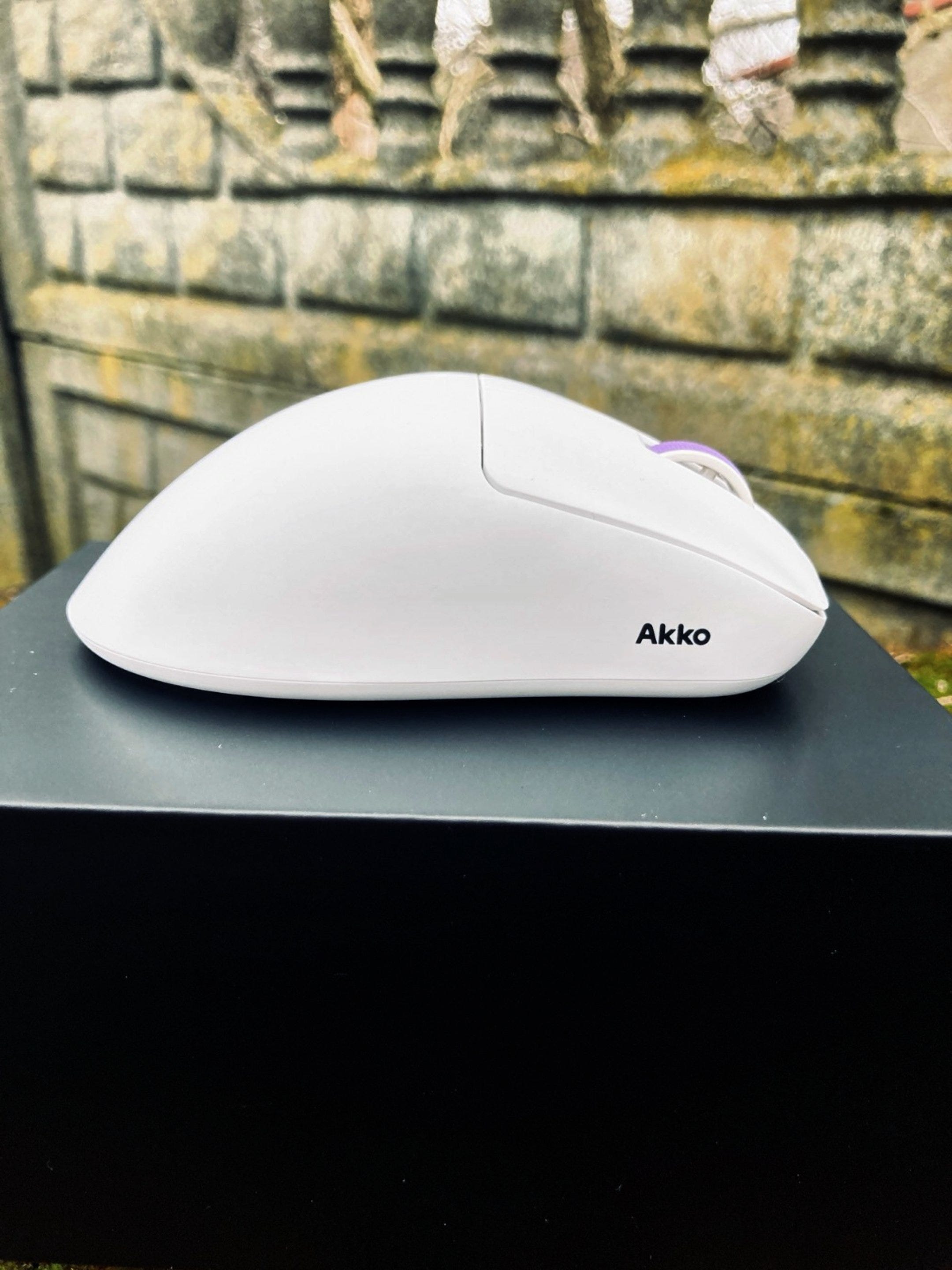 Akko Nest Review — A Safe Ergo That Plays It Too Safe | by Damian