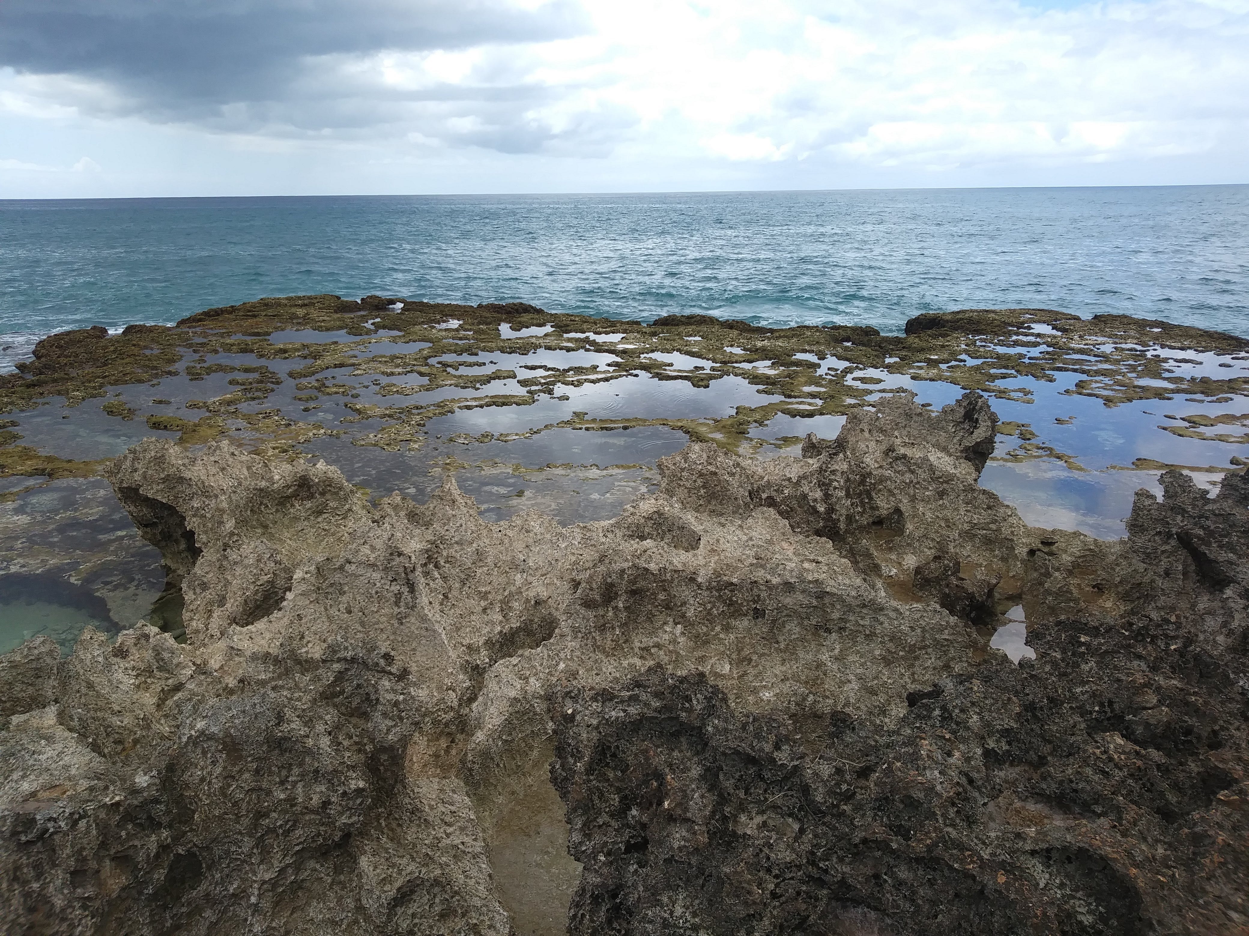 13+ Brant Rock Tide Chart