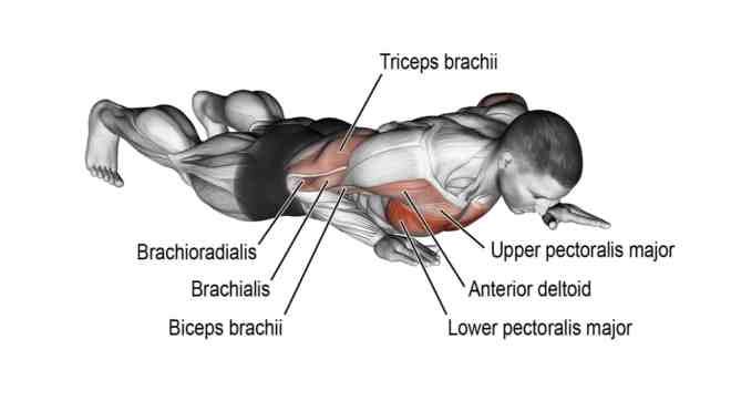 Benefits of Wide-Grip Push-Ups and Muscles Worked