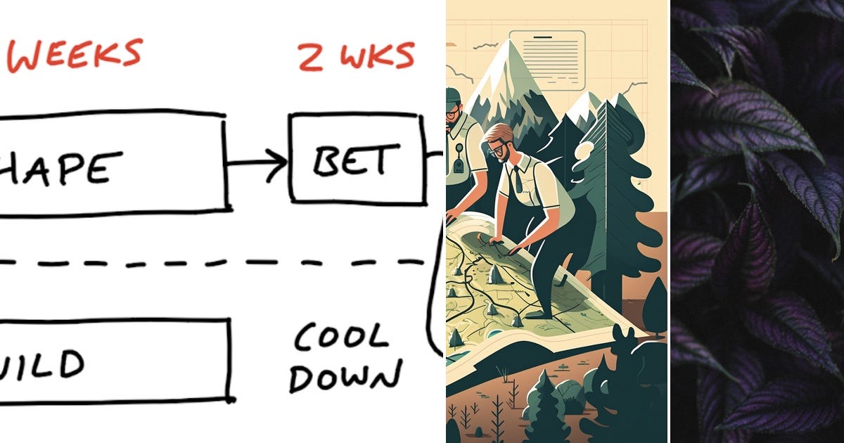 List: Teams | Curated by Mitchell Renton | Medium