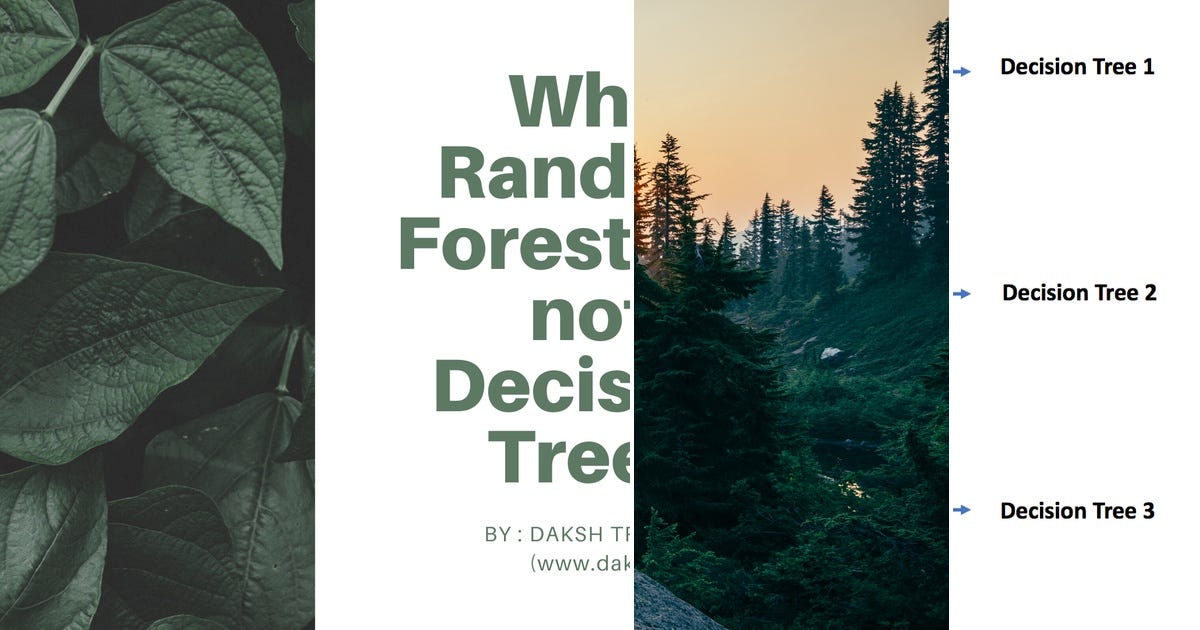 List: Random Forest | Curated by Jared Schenkel | Medium image.