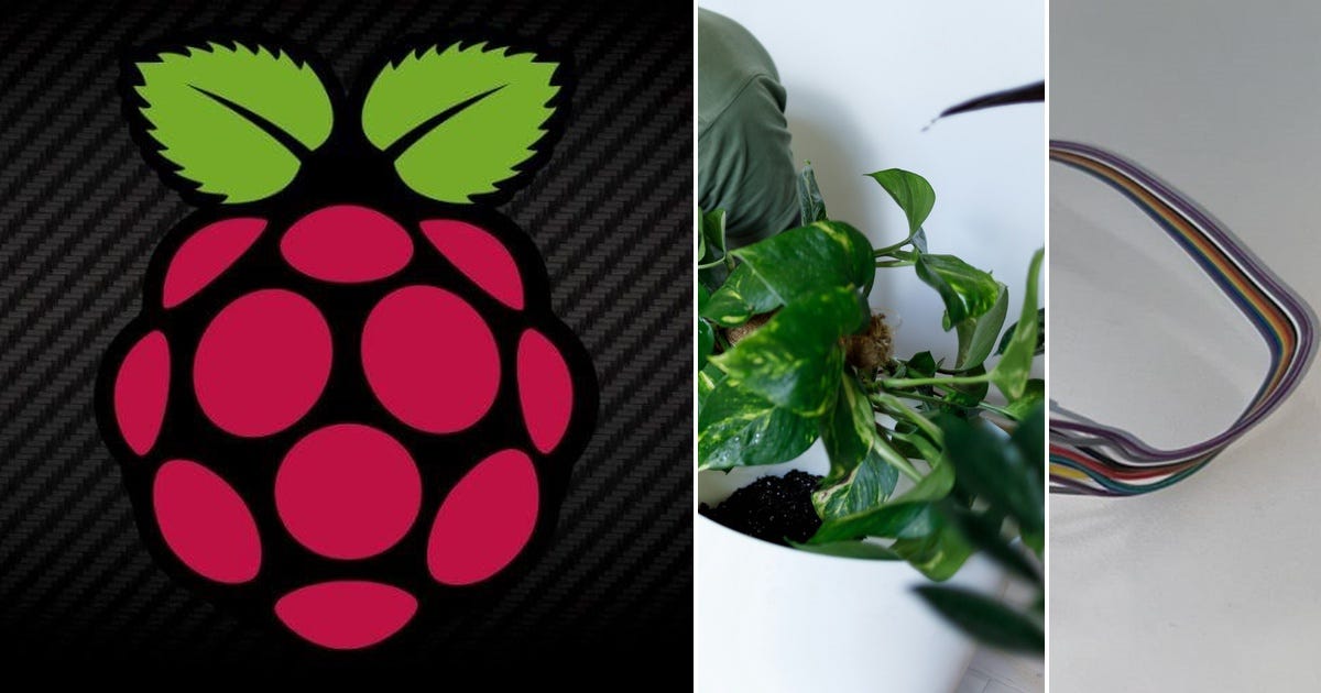 The Tolist Raspberry List: Raspberry Pi | Curated by Investigator515 | Medium