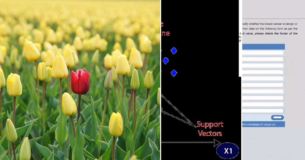 List: Data Science Projects - Machine Learning | Curated by Learner ...