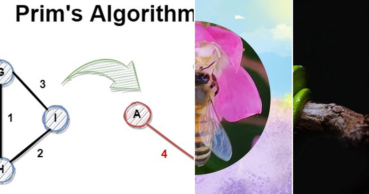 List: Python - Algorithm | Curated by Vincent Vuilleumier | Medium