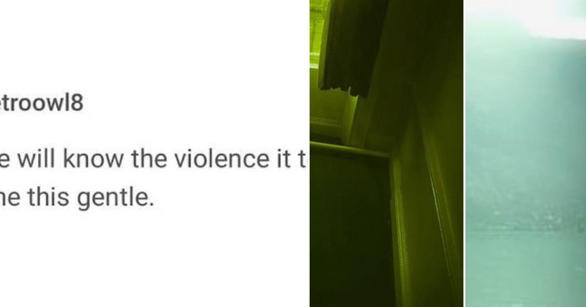 List: i clicked this for a reason | Curated by eri | Medium
