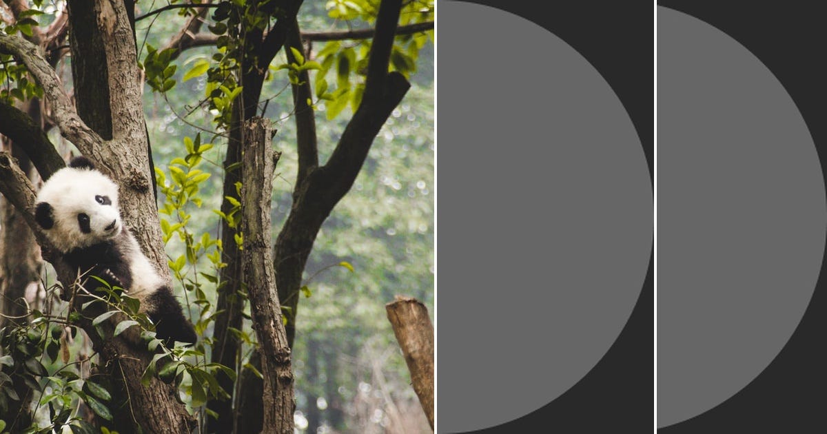 List: cython | Curated by Jaroslav Kramář | Medium