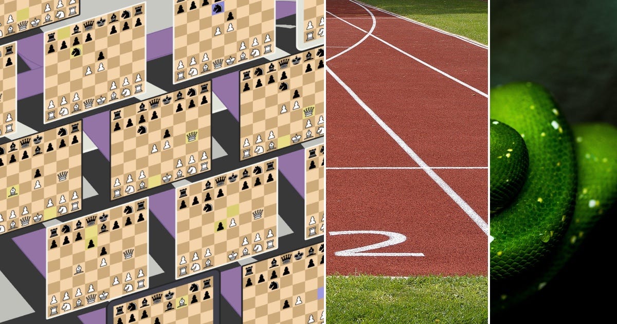 List: Python | Curated by Gus Garcia | Medium