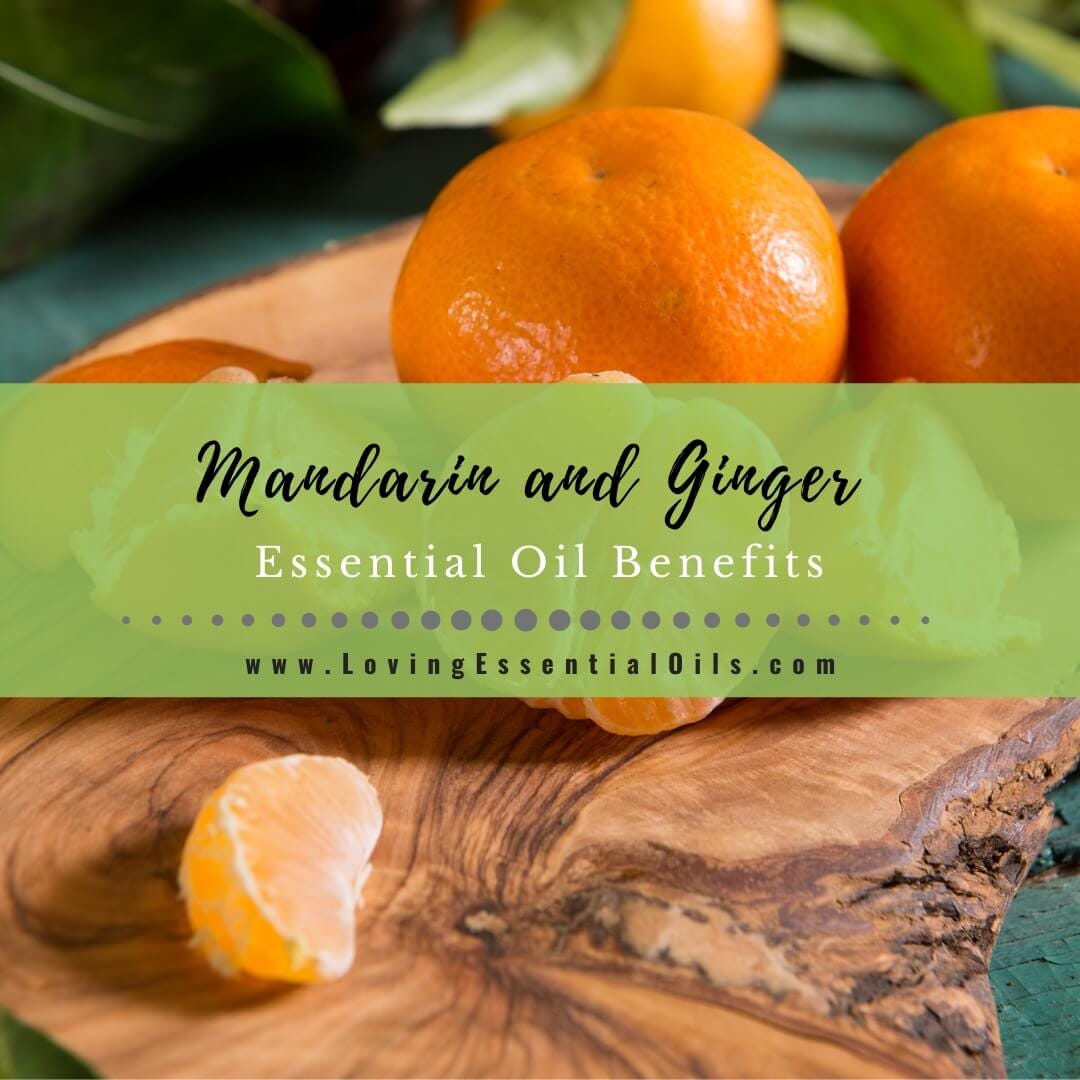 Lavender and Bergamot Benefits with Essential Oil Blend Recipes