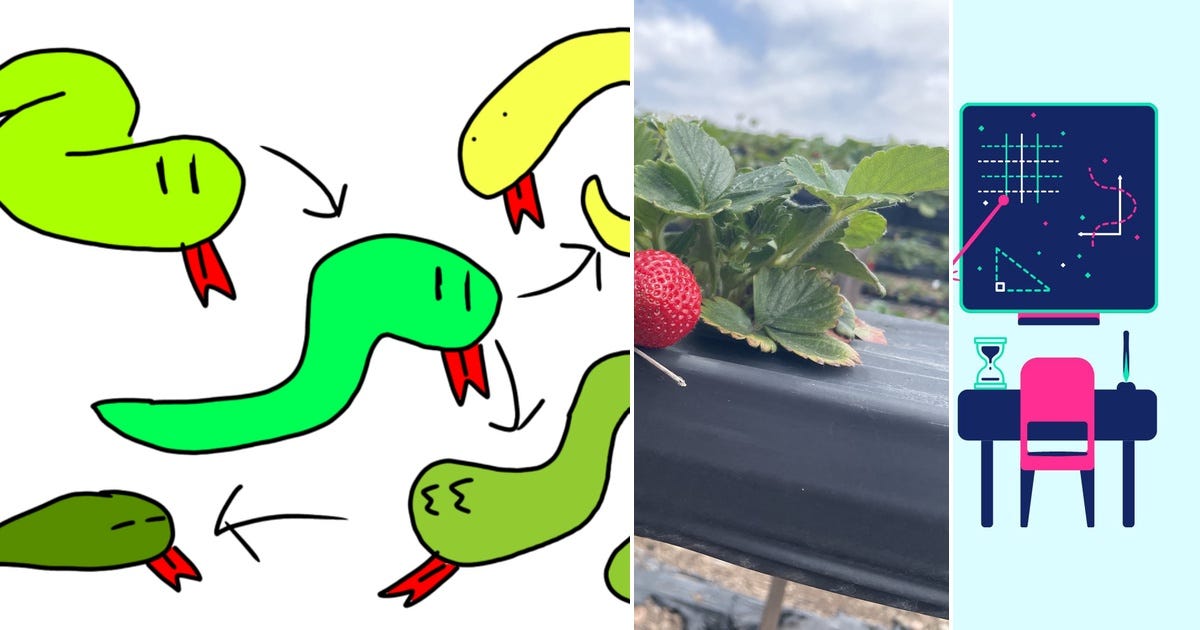 List: To save | Curated by maxime rosano | Medium