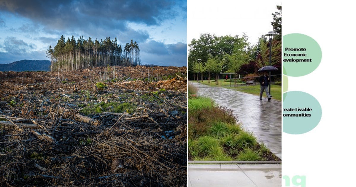 List: LEED | Sustainability Design | Curated by Svenja Qiu | Medium