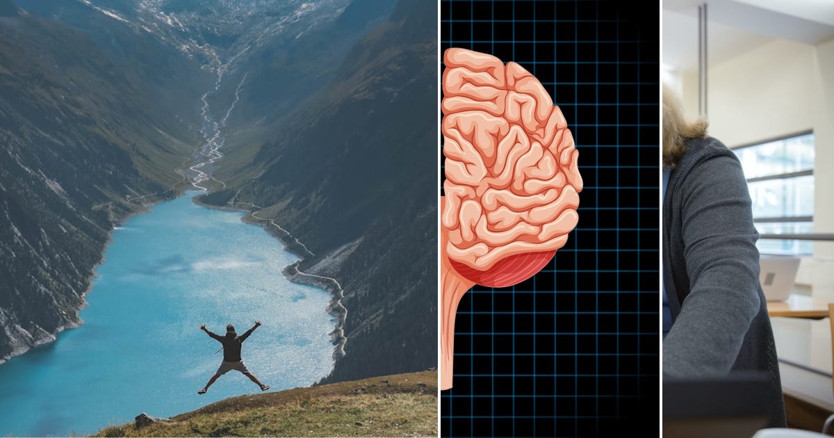 List: Brain | Curated by Alina David | Medium