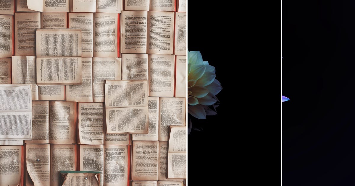 List Bloom hugging face Curated by Medium